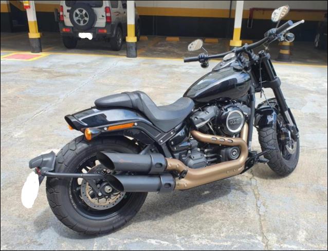 HARLEY-DAVIDSON SOFTAIL 19/19